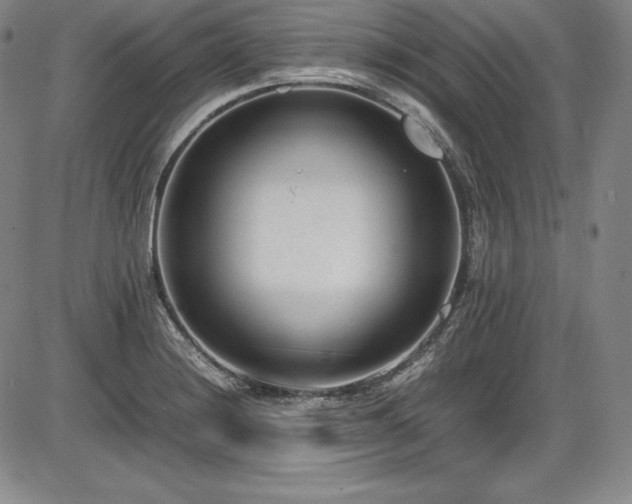 X0000086241228200703291347
