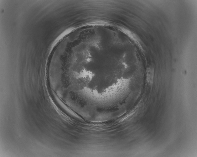 X0000086241229200703291347