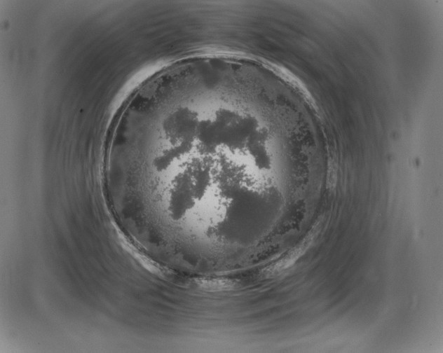 X0000086241231200703291347