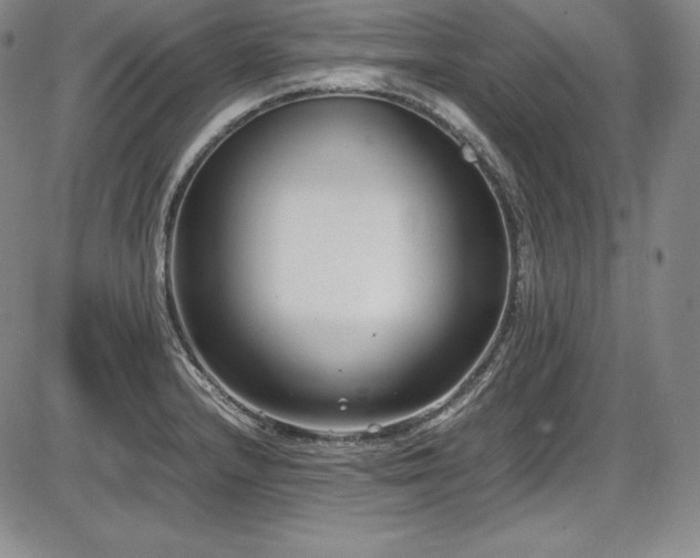 X0000086241232200703291347
