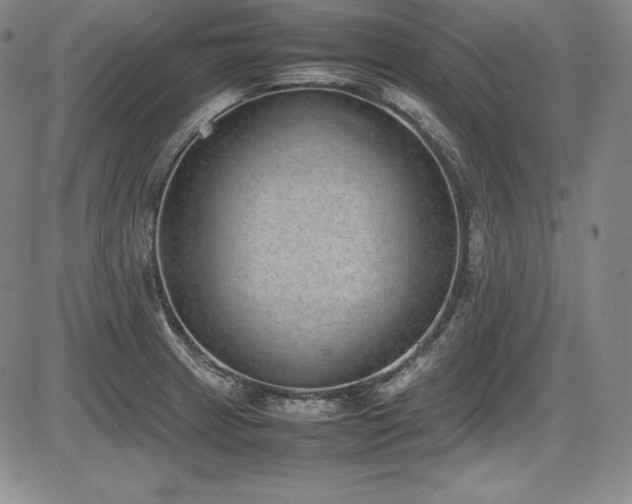 X0000086241233200703291347