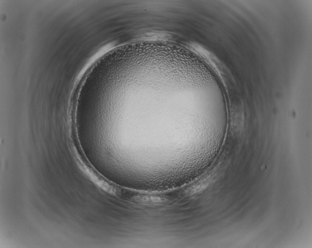 X0000086241235200703291347