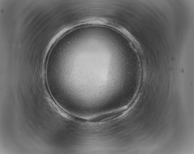 X0000086241240200703291347