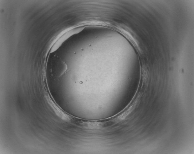 X0000086241244200703291347