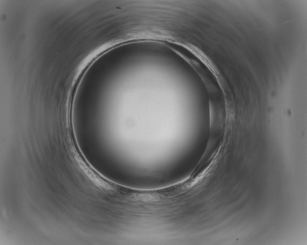 X0000086241246200703291347
