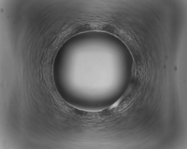 X0000086241249200703291346