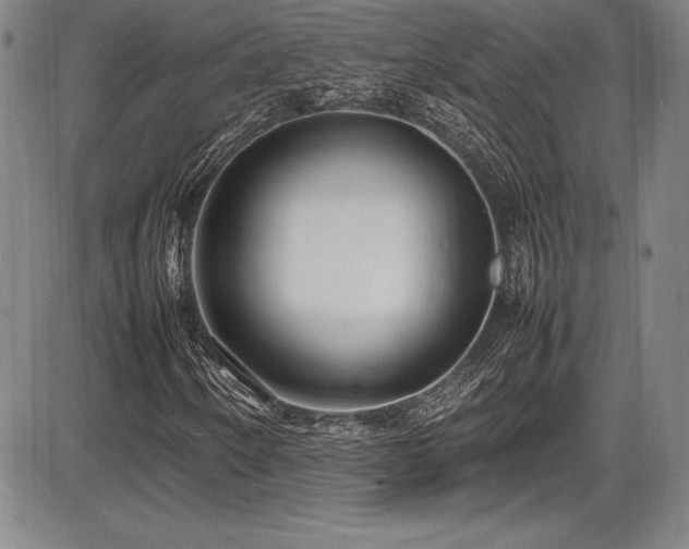 X0000086241250200703291346