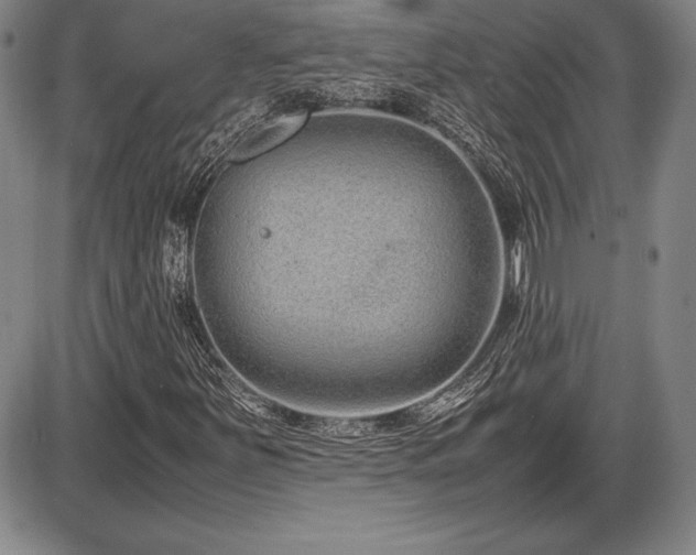 X0000086241251200703291346