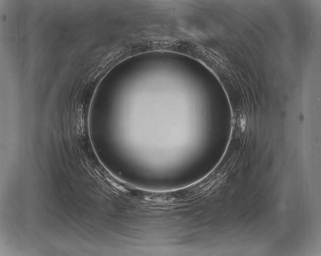 X0000086241252200703291346