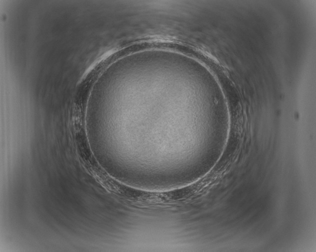 X0000086241255200703291346
