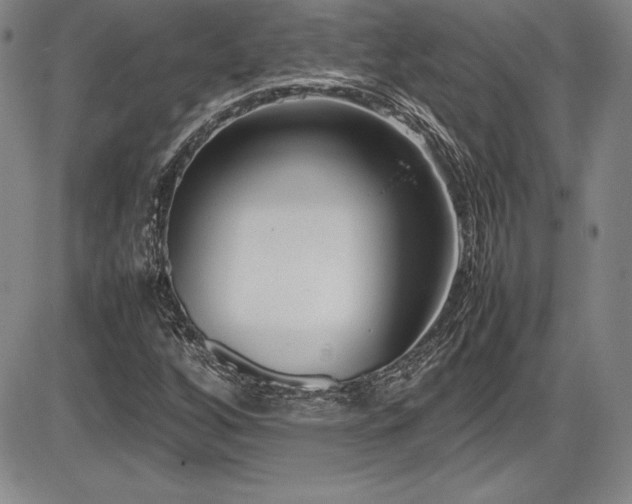 X0000086241256200703291346