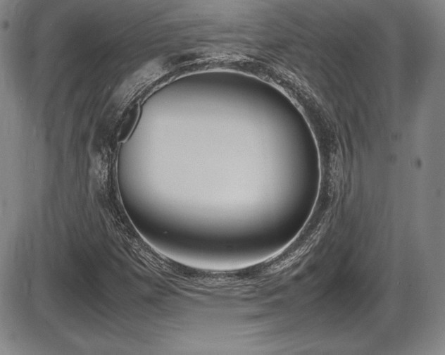 X0000086241257200703291346