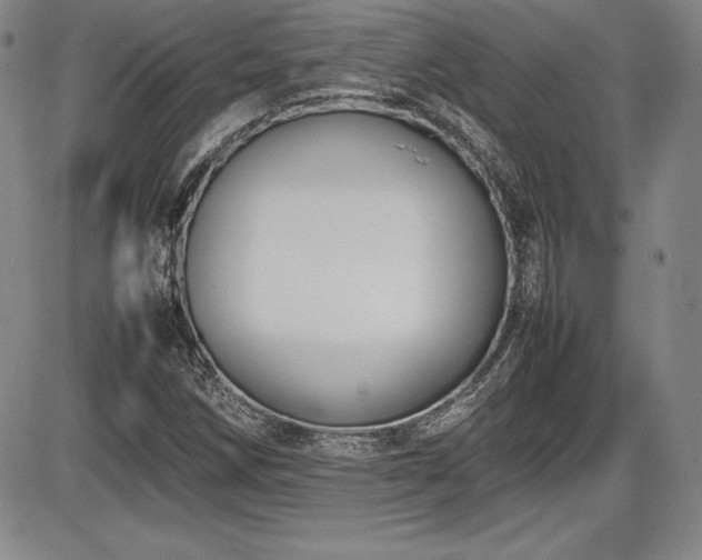 X0000086241258200703291346