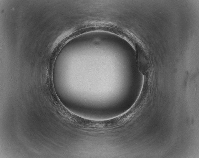 X0000086241261200703291346