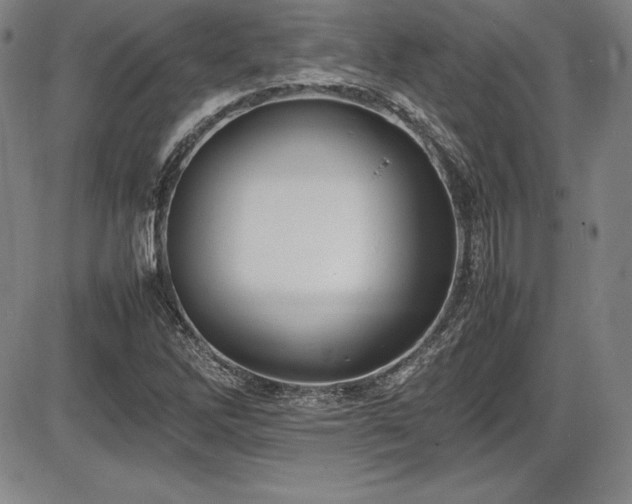 X0000086241262200703291346