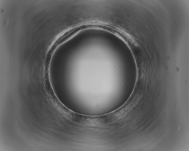 X0000086241264200703291346