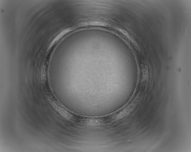 X0000086241266200703291346