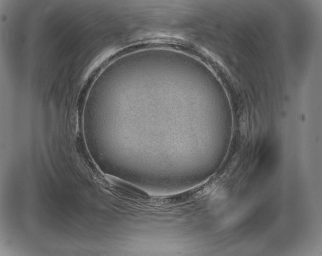 X0000086241267200703291346