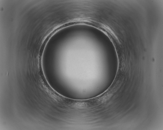 X0000086241268200703291346