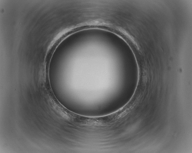 X0000086241270200703291346