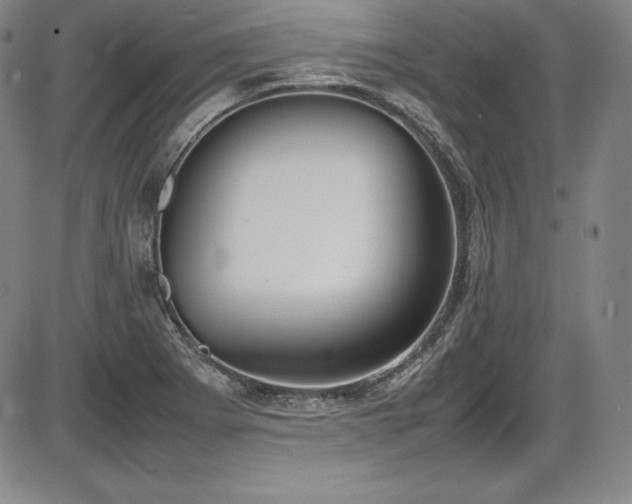 X0000086241273200703291346