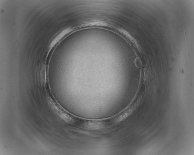 X0000086241274200703291346
