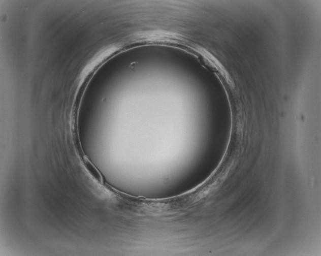 X0000086241285200703291346