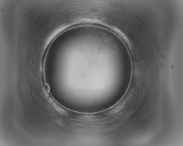 X0000086241287200703291346