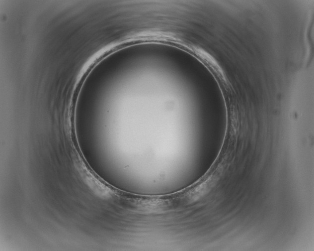 X0000086241288200703291346