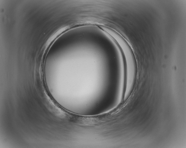 X0000086241293200703291345