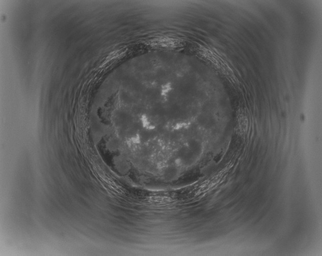 X0000086241297200703291345