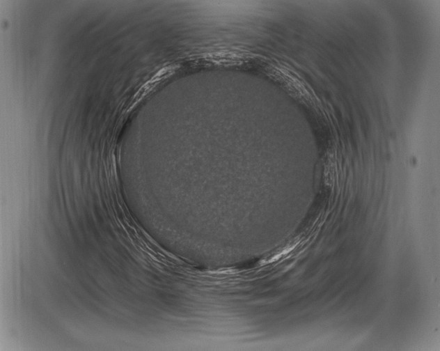 X0000086241298200703291345