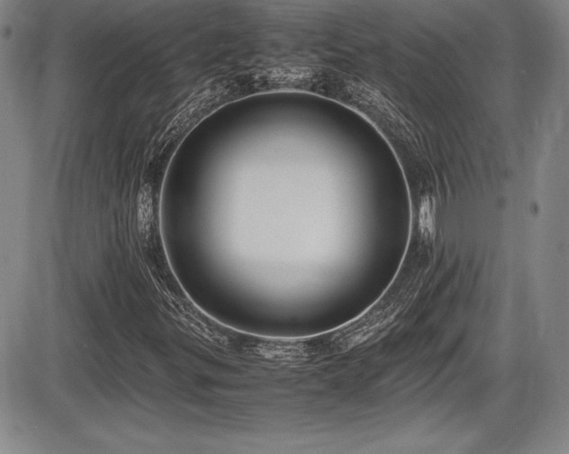 X0000086241299200703291345