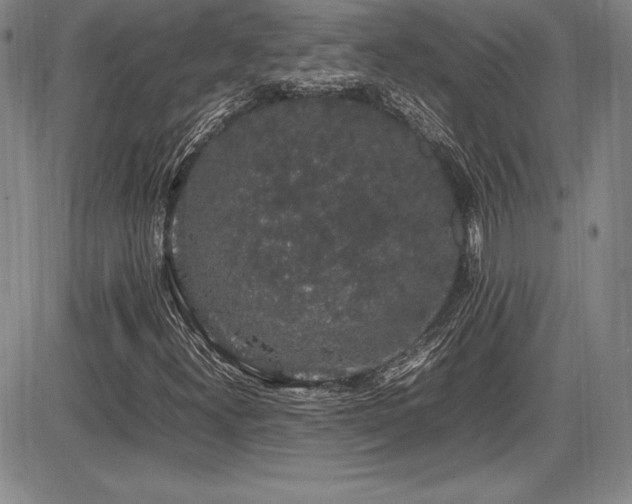 X0000086241300200703291345