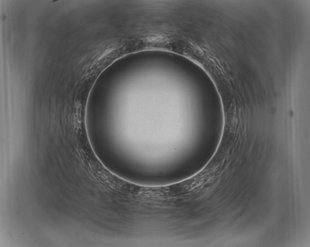 X0000086241301200703291345