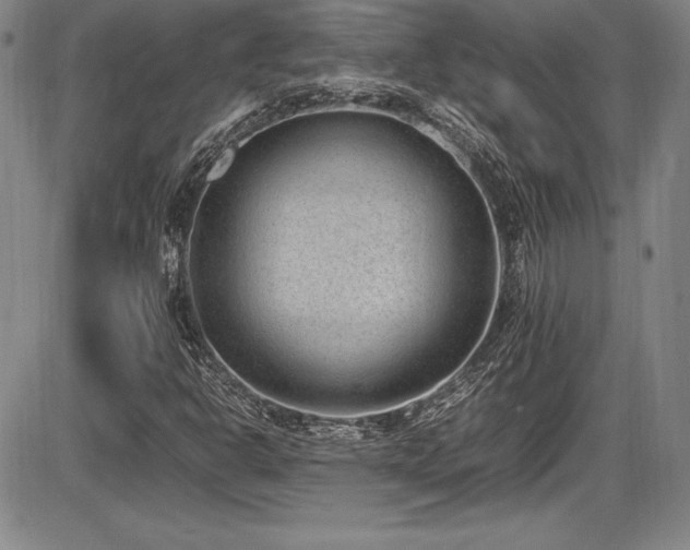 X0000086241302200703291345