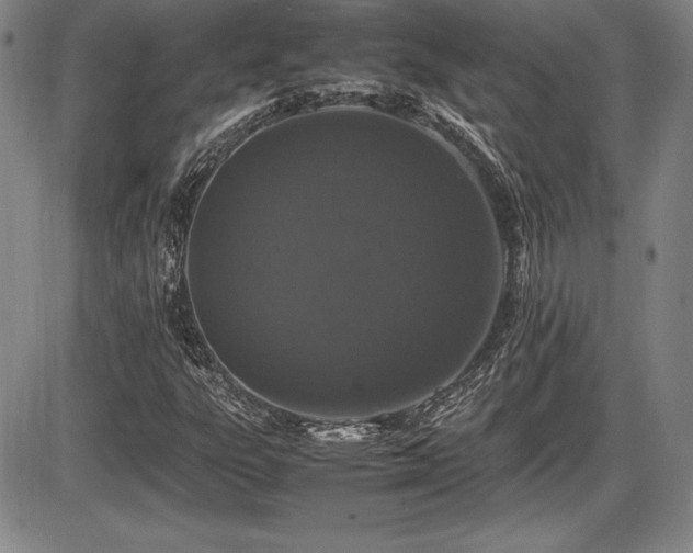 X0000086241303200703291345