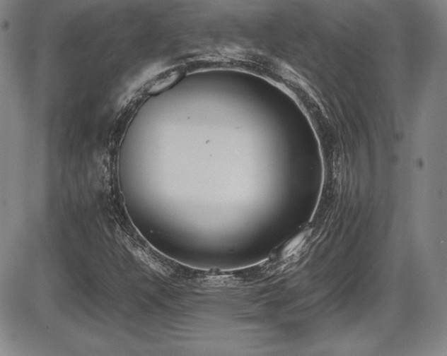 X0000086241304200703291345