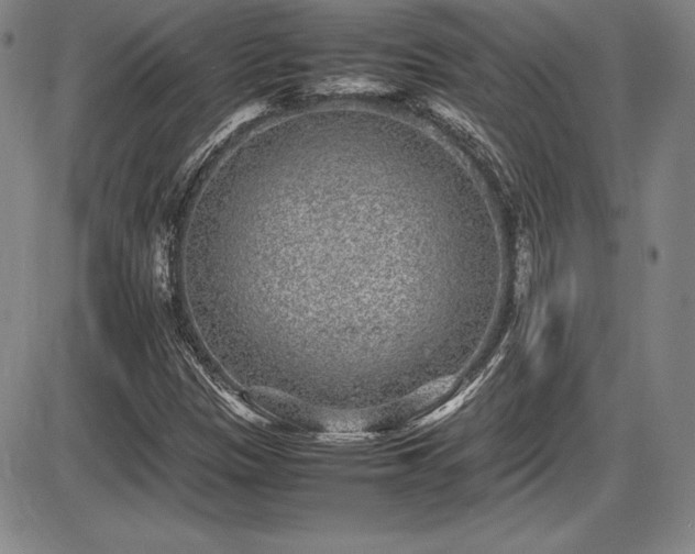 X0000086241305200703291345