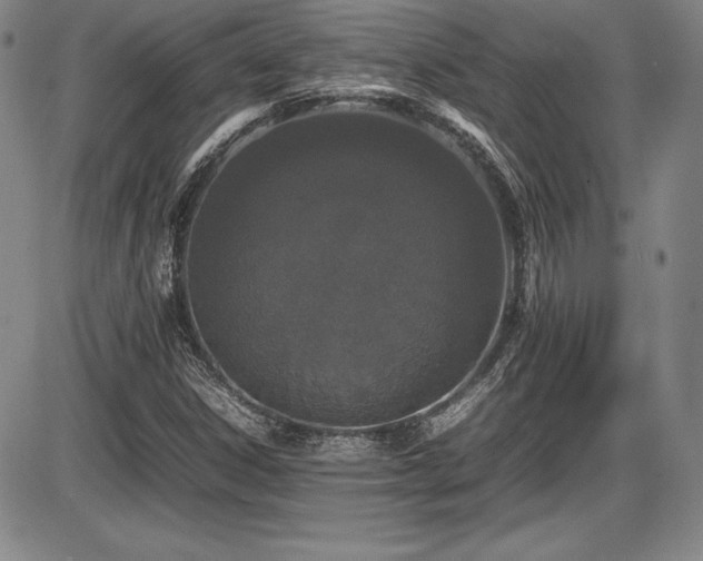 X0000086241306200703291345