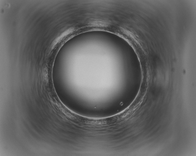X0000086241307200703291345