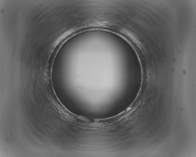 X0000086241308200703291345