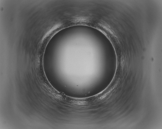 X0000086241309200703291345