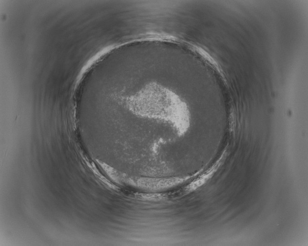 X0000086241310200703291345