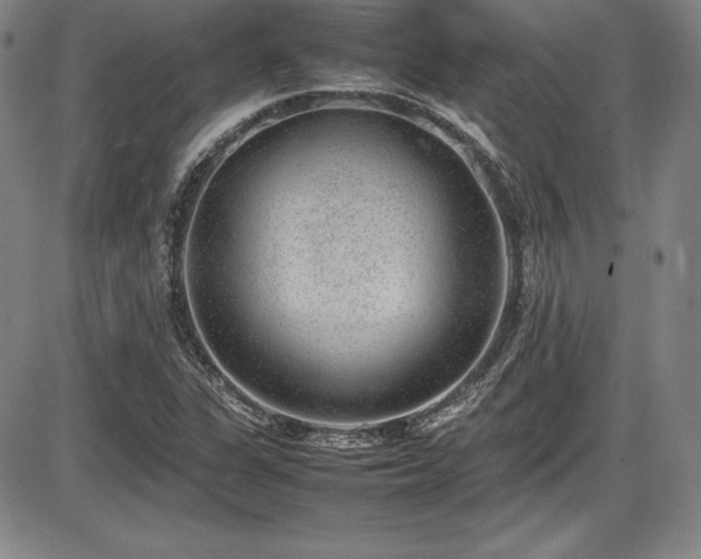 X0000086241311200703291345