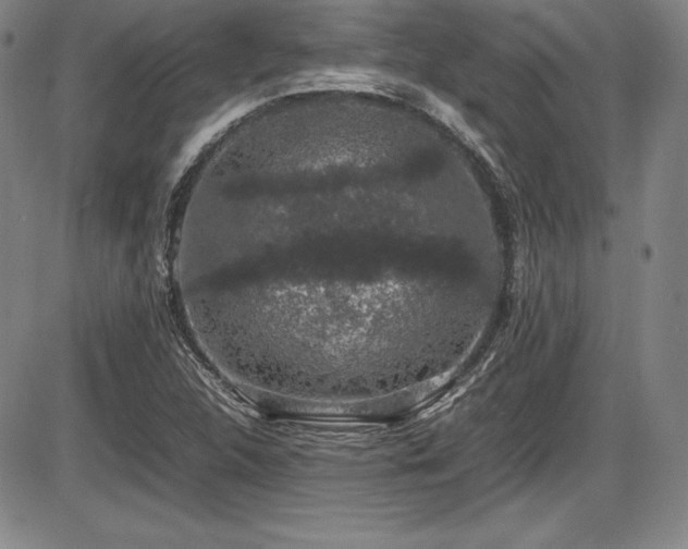 X0000086241312200703291345