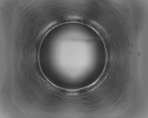 X0000086241313200703291345