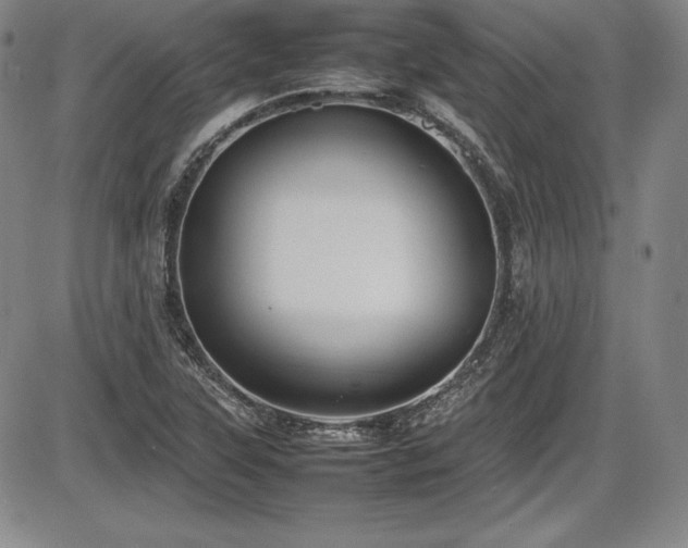 X0000086241315200703291345