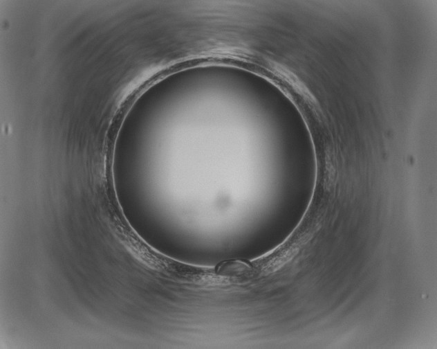 X0000086241316200703291345