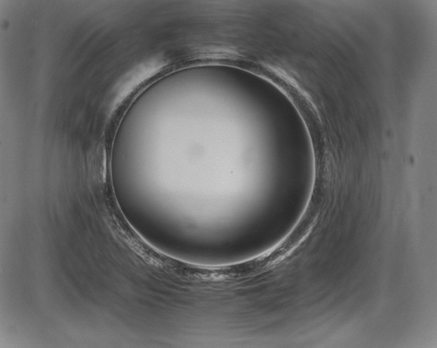 X0000086241317200703291345